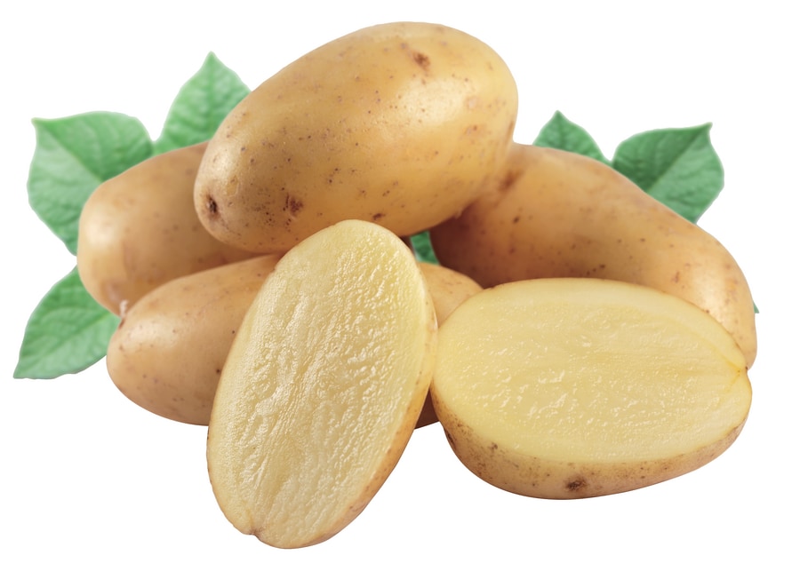 Speisefrühkartoffeln
