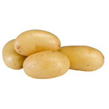 Ägypten - Frühkartoffeln