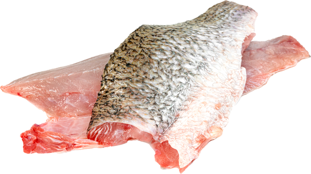 Gebauer‘s Wochenangebot: ¹Barramundi Filets mit Haut 