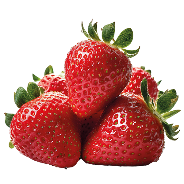 Griechenland/ Spanien GUT&GÜNSTIG Erdbeeren oder Bio Erdbeeren