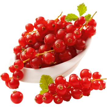 meinLand - Johannisbeeren oder Stachelbeeren