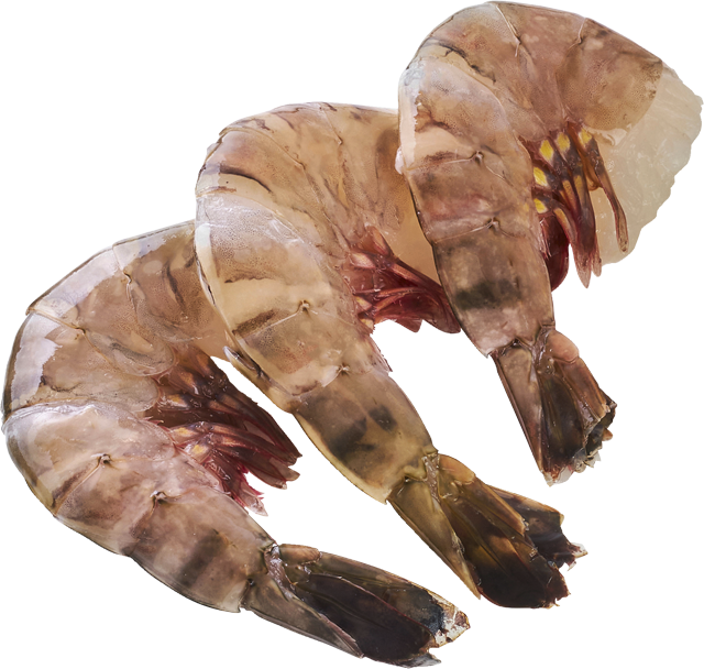 ²Seawater Black Tiger Gambas 6/8er – ca. 77 g 
