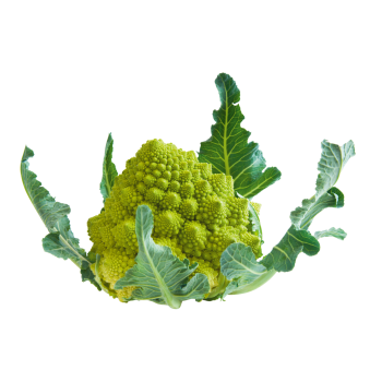 Deutschland - meinLand Bio / Bioland - Romanesco
