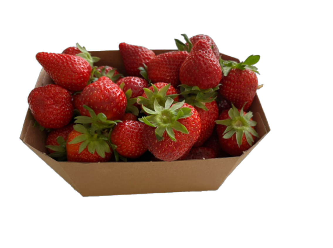 Erdbeeren aus Norddeutschland