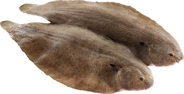 Ab Donnerstag erhältlich: ¹Frische Seezunge