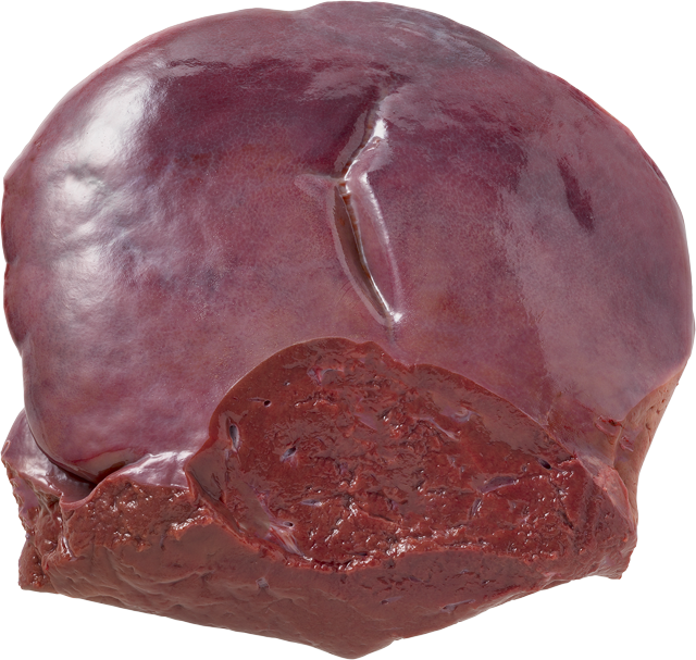 Mittwoch bis Samstag: Frische Kalbsleber