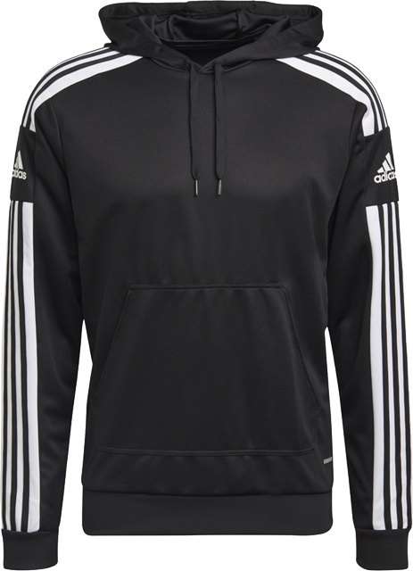 Herren Trainingshoodie