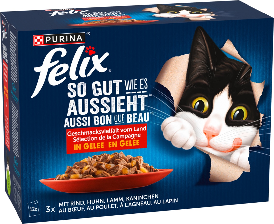 Purina felix Katzennahrung