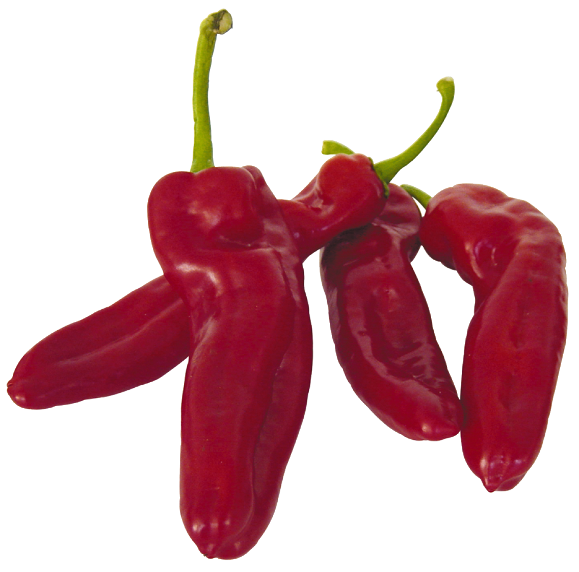 Spitzpaprika