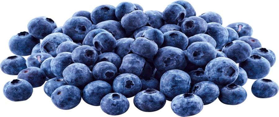 Heidelbeeren
